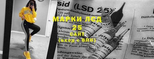 гашик Аркадак