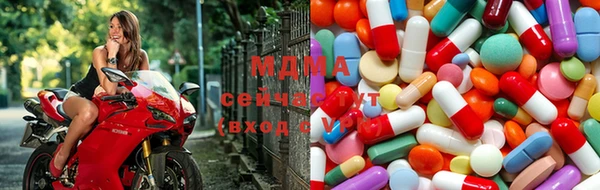 гашик Аркадак